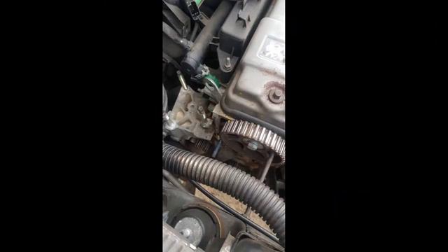 Peugeot 206 timing belt смотреть онлайн