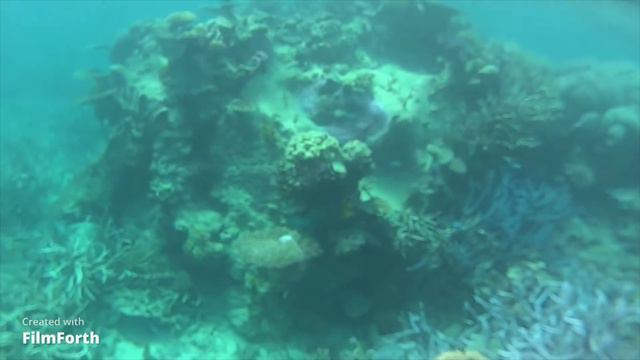 Barrier Reef 1 смотреть онлайн