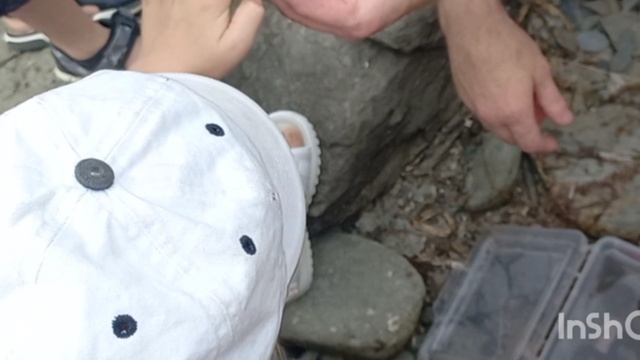 Выезд на морской пленэр смотреть онлайн