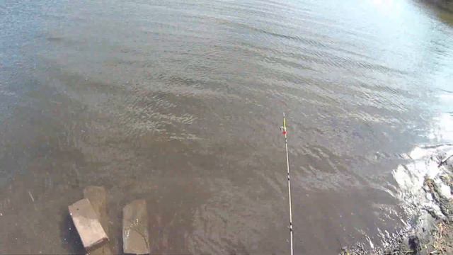 #рыбалка #фидер #карась Рыбалка выходного дня № 5 Weekend fishing number 5 смотреть онлайн