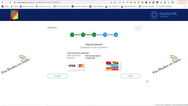 Comment faire le PRE-ENRÔLEMENT en ligne de votre passeport biométrique? смотреть онлайн