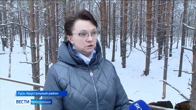 Во Владимирской области в нацпарке «Мещера» посетители смогут покормить зубров смотреть онлайн