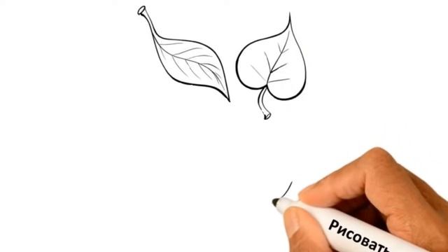 Как нарисовать осенние листья смотреть онлайн