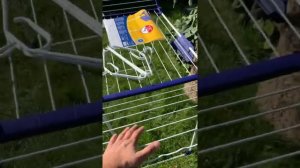 Лучшая сушилка для белья (напольная)