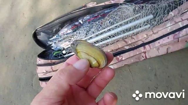 Рыбалка! Кубань! Первая рыбка! смотреть онлайн