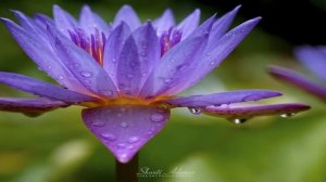 Абрахам Хикс  - (Поднимаем Настроение) - Поток счастья и уважения - Эстер Хикс