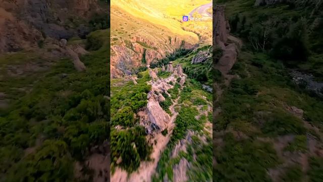 каменные грибы смотреть онлайн