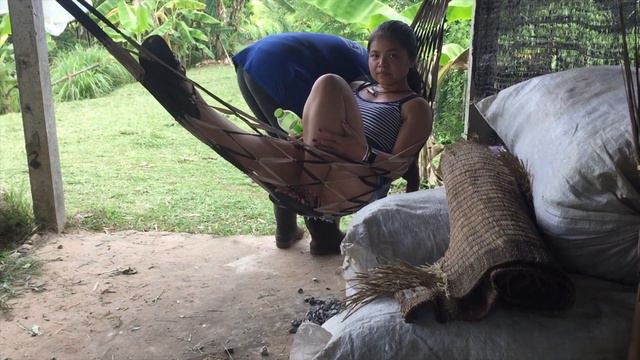 In Search Of The Thai Ridgeback@OMKO-THAI-RIDGEBACK : A Update After A Change Of Heart!