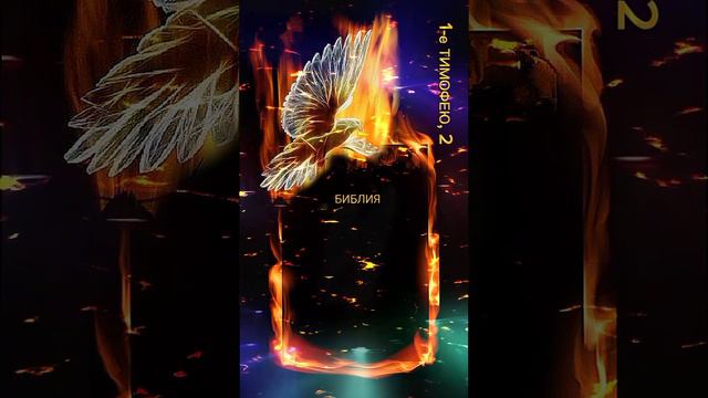БИБЛИЯ. НОВЫЙ ЗАВЕТ. 1-е ТИМОФЕЮ, 2 смотреть онлайн