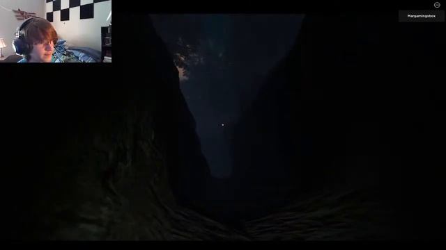 Bewildered (Roblox horror gameplay) смотреть онлайн