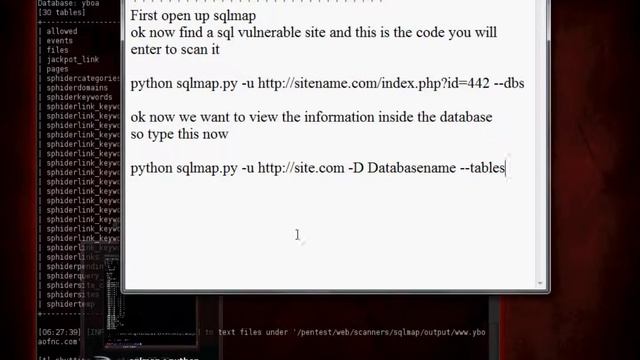 SQL Injection Tutorial [Back-Track 5] смотреть онлайн