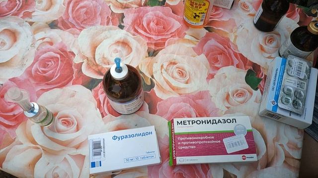 Как и чем мы лечим своих кур смотреть онлайн