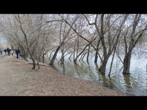 Курган. Наводнение. Бульвар Солнечный, набережная возле ТЦ РИО.