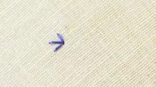 Вышивание крестиком. Болгарский полукрест. смотреть онлайн