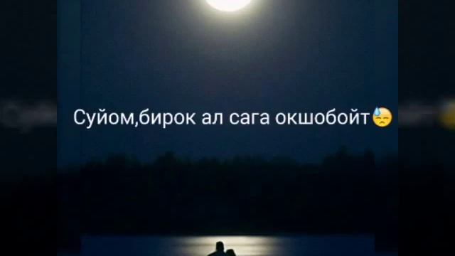 Сени суйдум смотреть онлайн