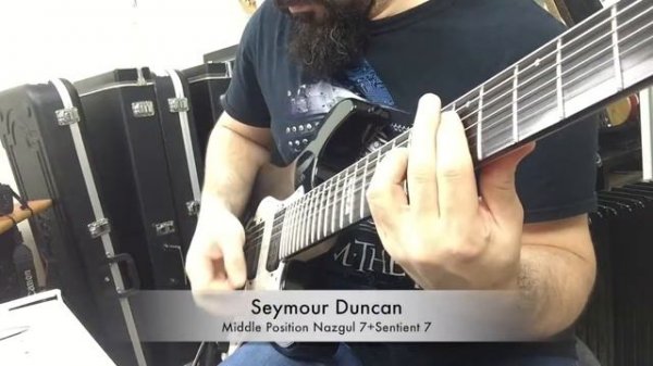DiMarzio VS Seymour Duncan