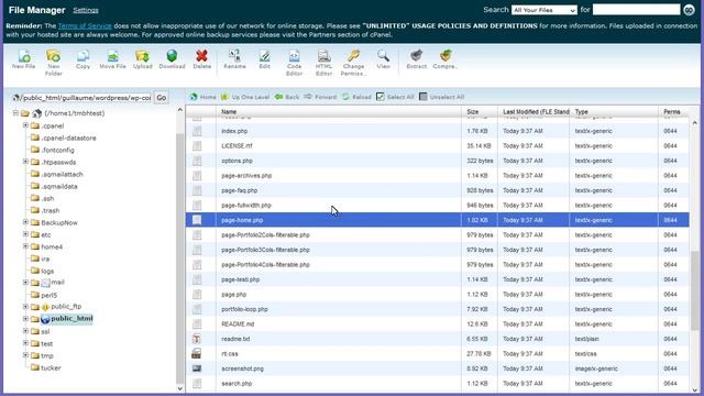 WordPress. How To Create A Redirect From A Home Page To Any URL Using The PHP Redirect смотреть онлайн