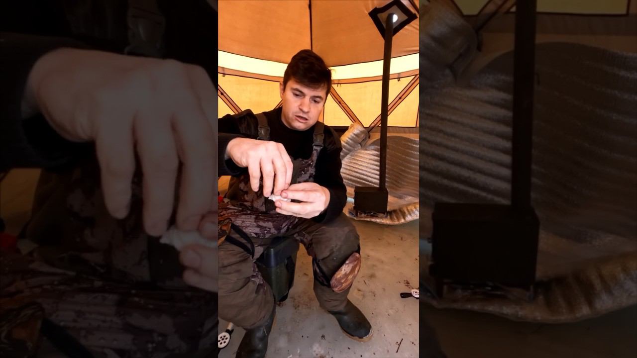 Ловлю карпа на пельмени смотреть онлайн