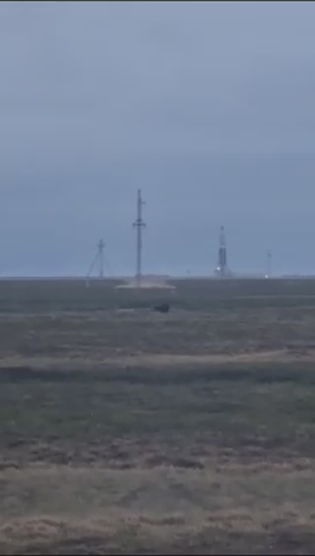 Медведь🐻 рядом с буровой.