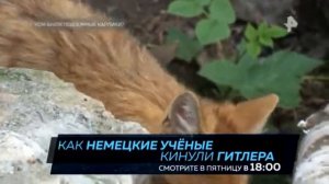 Кем были подземные карлики - Самые шокирующие гипотезы - 01.03.2021