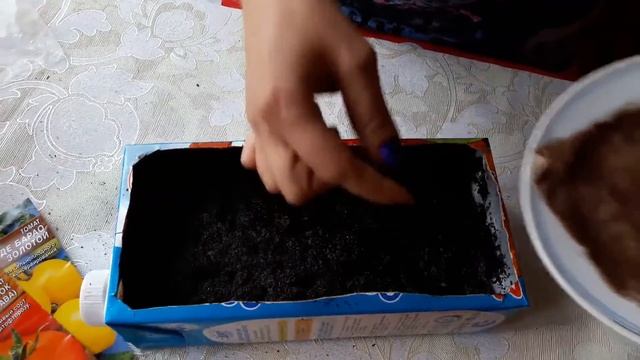 Посадка томатов по лунному календарю смотреть онлайн