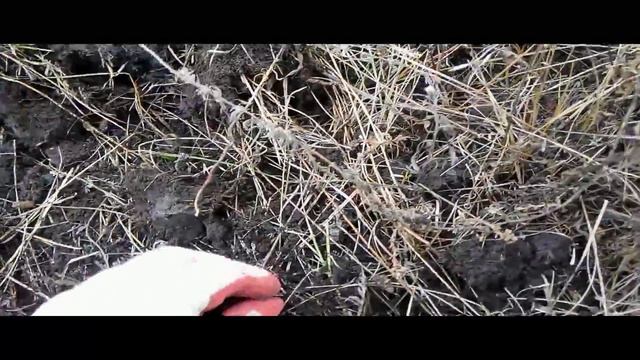 Поиск с металлодетектором по Донской Степи  Часть 5. (коп по старине)