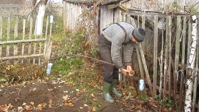 Как подрезать виноград перед укрытием. Формировка к новому сезону. Заготовка черенков.Укрытие в зим смотреть онлайн