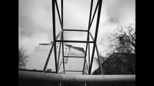 Грибы -  Интро