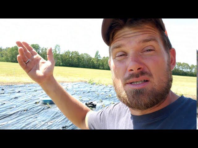 Making use of old things. смотреть онлайн