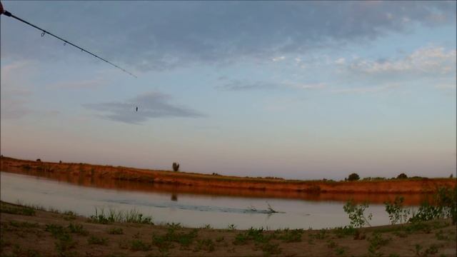 Язь. Рыба язь видео. Ловля язя на спиннинг летом видео 2015 смотреть онлайн