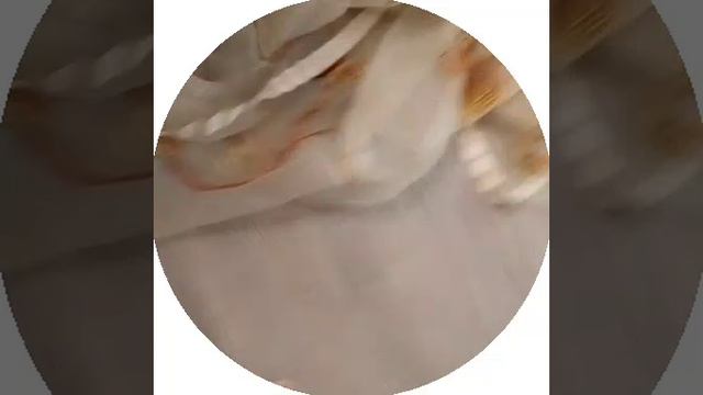 1000030043.mp4 смотреть онлайн