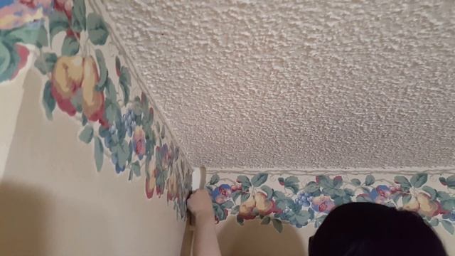 Removing Wallpaper Borders смотреть онлайн