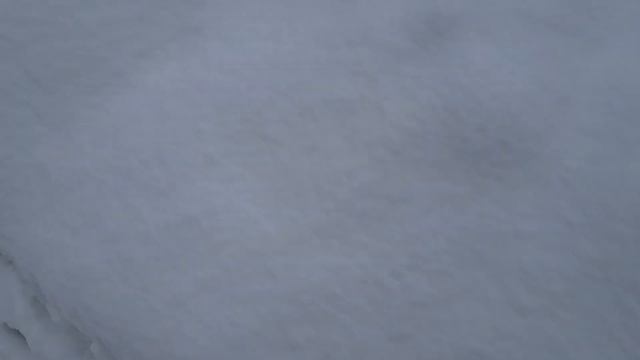 Олень не разрешает грустить =) смотреть онлайн