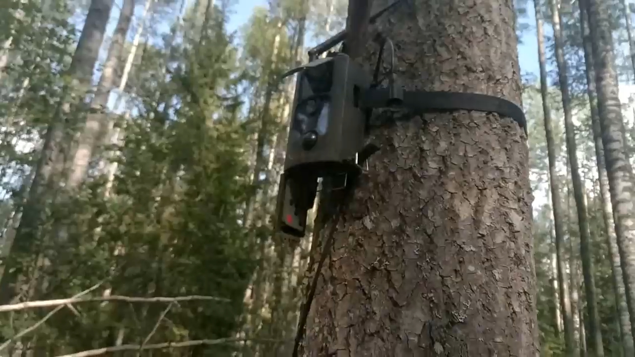 Фотоловушка - Подключаем мощный гелевый аккумулятор и став... смотреть онлайн