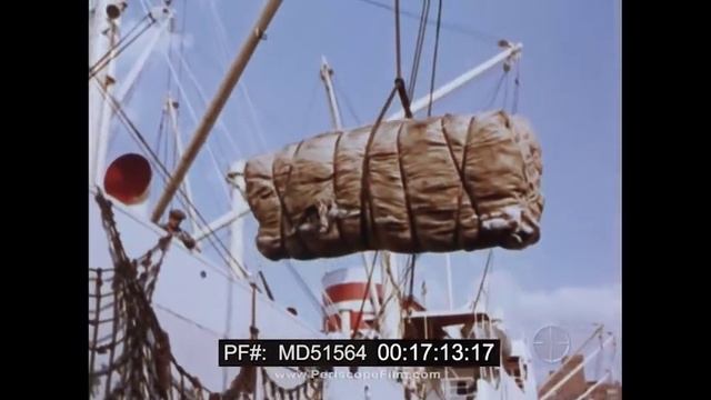1960s NEW YORK CITY & EMPIRE STATE PROMOTIONAL MOVIE "ALL ABOUT NEW YORK" MD51564 смотреть онлайн