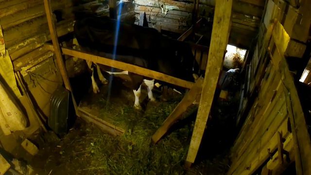 Закрываем летний сезон в хозяйстве смотреть онлайн