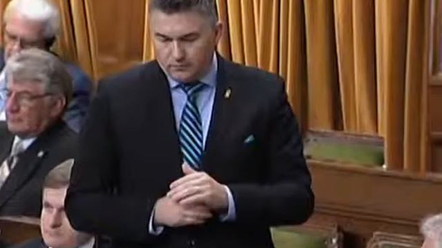 MP Bezan during Question Period 2015/05/14 смотреть онлайн