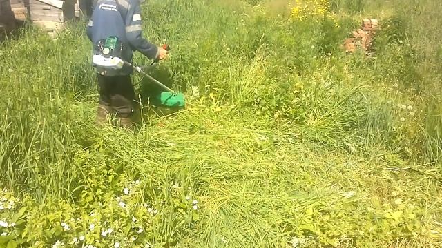 5.06.20г. кошу траву на триммере. смотреть онлайн