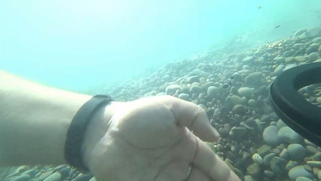 А у вас были такие НАХОДКИ? Нашли под водой в Ялте в Крыму! Наконец-то золото! смотреть онлайн