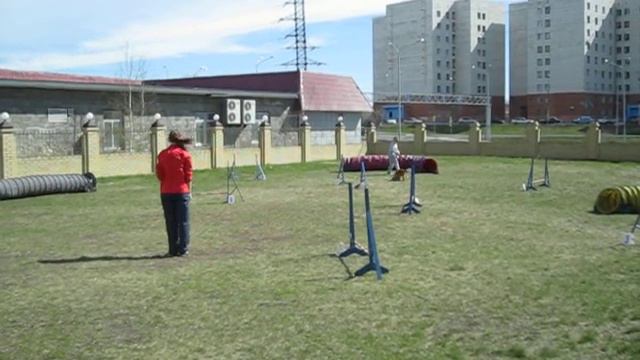 Бытко Александра и англ.кокер спаниель Айкон 