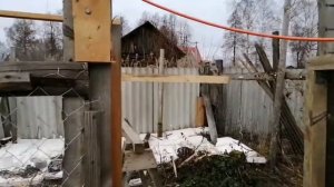 СТРОИМ ВОЛЬЕР, ЗАГОН ДЛЯ КРОЛИКОВ, СТРОЙТЕ С НАМИ СВОИМИ РУКАМИ))) 1ЧАСТЬ