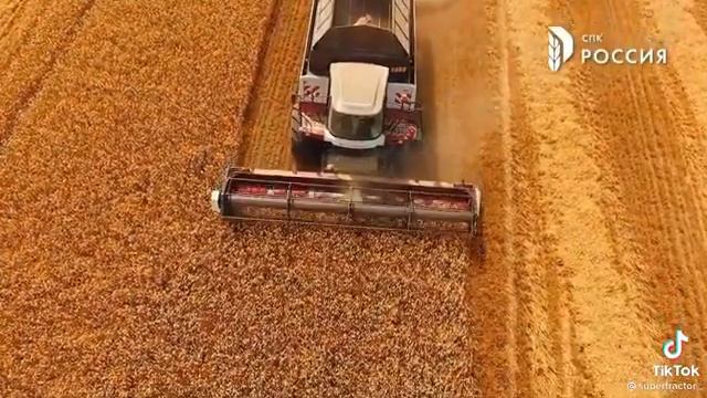 28 апреля 2022 г..mp4 смотреть онлайн