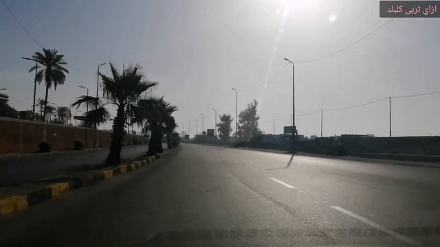 صباح المعلومات/حاسة الشم عند الكلب مقارنة بالإنسان