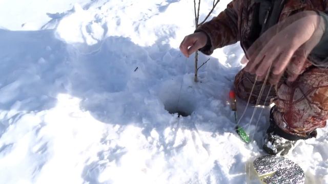Язь на поставушки подо льдом, март 2017 смотреть онлайн