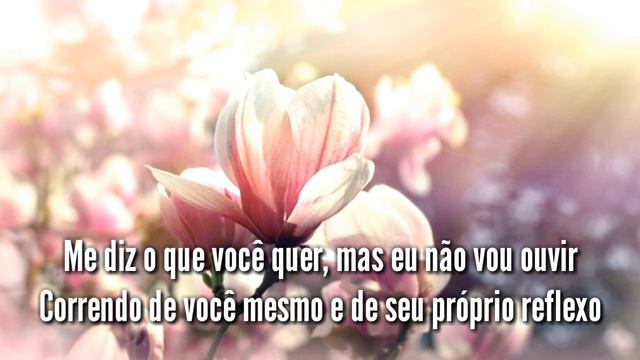 Vault 51 - Magnolia (LEGENDADO PT-BR) смотреть онлайн