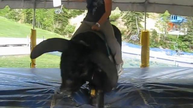 Hello My Name is Kathy Baumann Snowbird Mechanical Bull смотреть онлайн