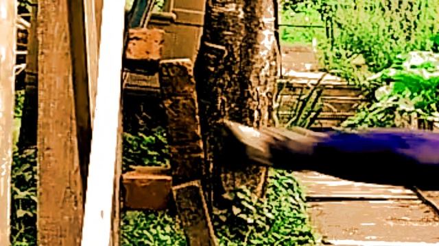 Разбивание кирпича в упоре ударом йоко-гери. смотреть онлайн