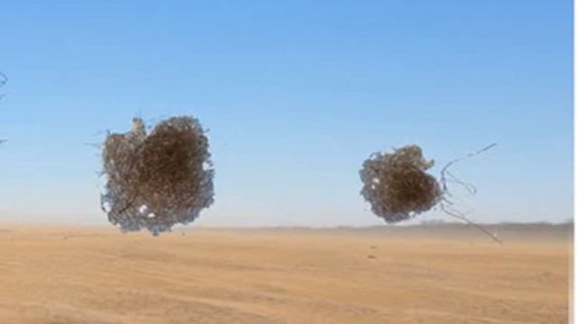 Звезда пустыни смотреть онлайн