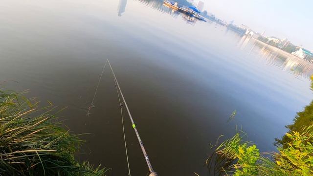 Спиннинговая рыбалка на попер на городском пруду в августе смотреть онлайн