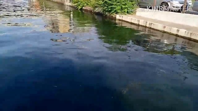 Покатушки на лодке смотреть онлайн